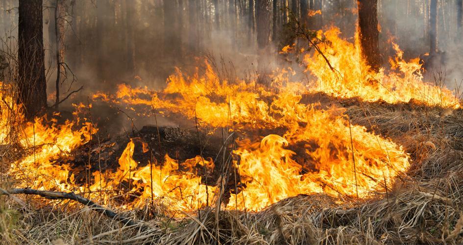 Comenzó a regir en Uruguay el decreto que prohíbe la quema al aire libre