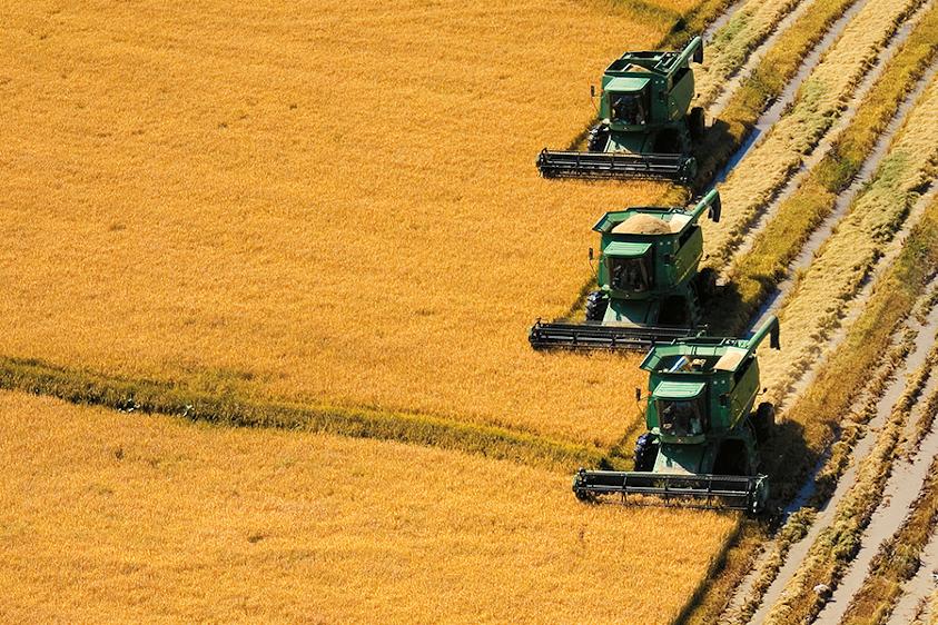 La Asociación de Cultivadores de Arroz busca acordar con la Intendencia de Cerro Largo una hoja de ruta para la mejora de caminos