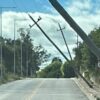 Una importante caída de árboles y postes de UTE se registró en Cerro Largo debido a la intensa tormenta de ayer